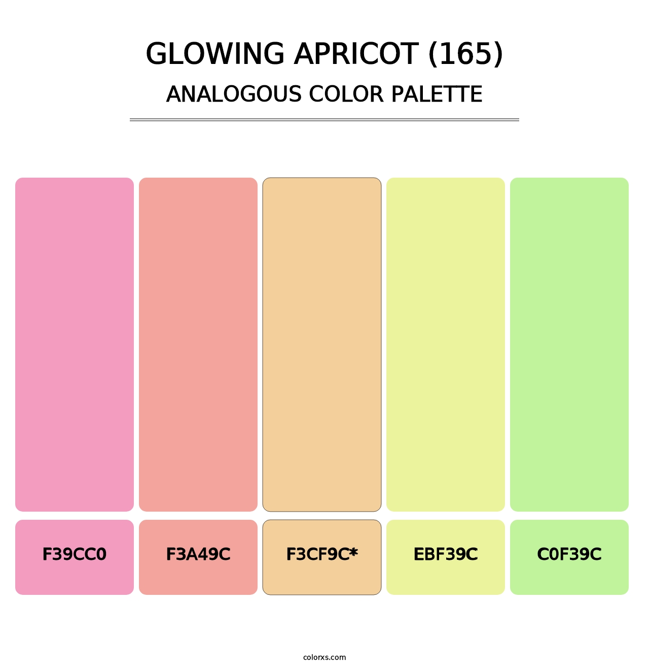 Glowing Apricot (165) - Analogous Color Palette