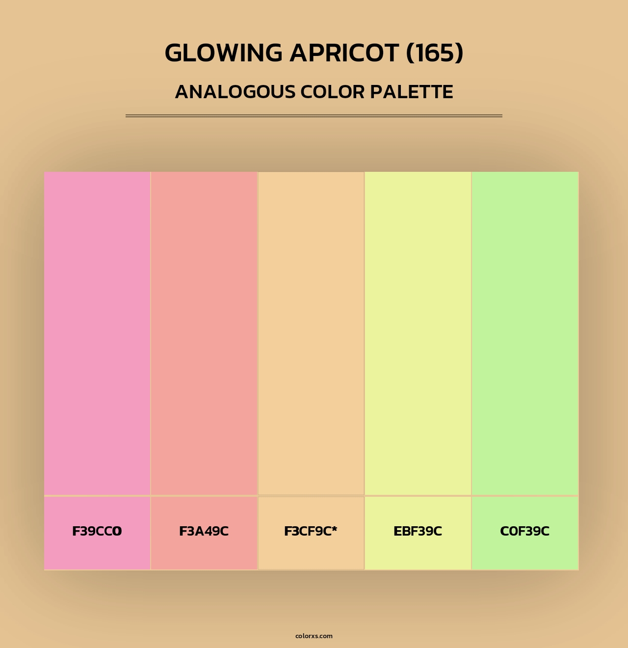 Glowing Apricot (165) - Analogous Color Palette