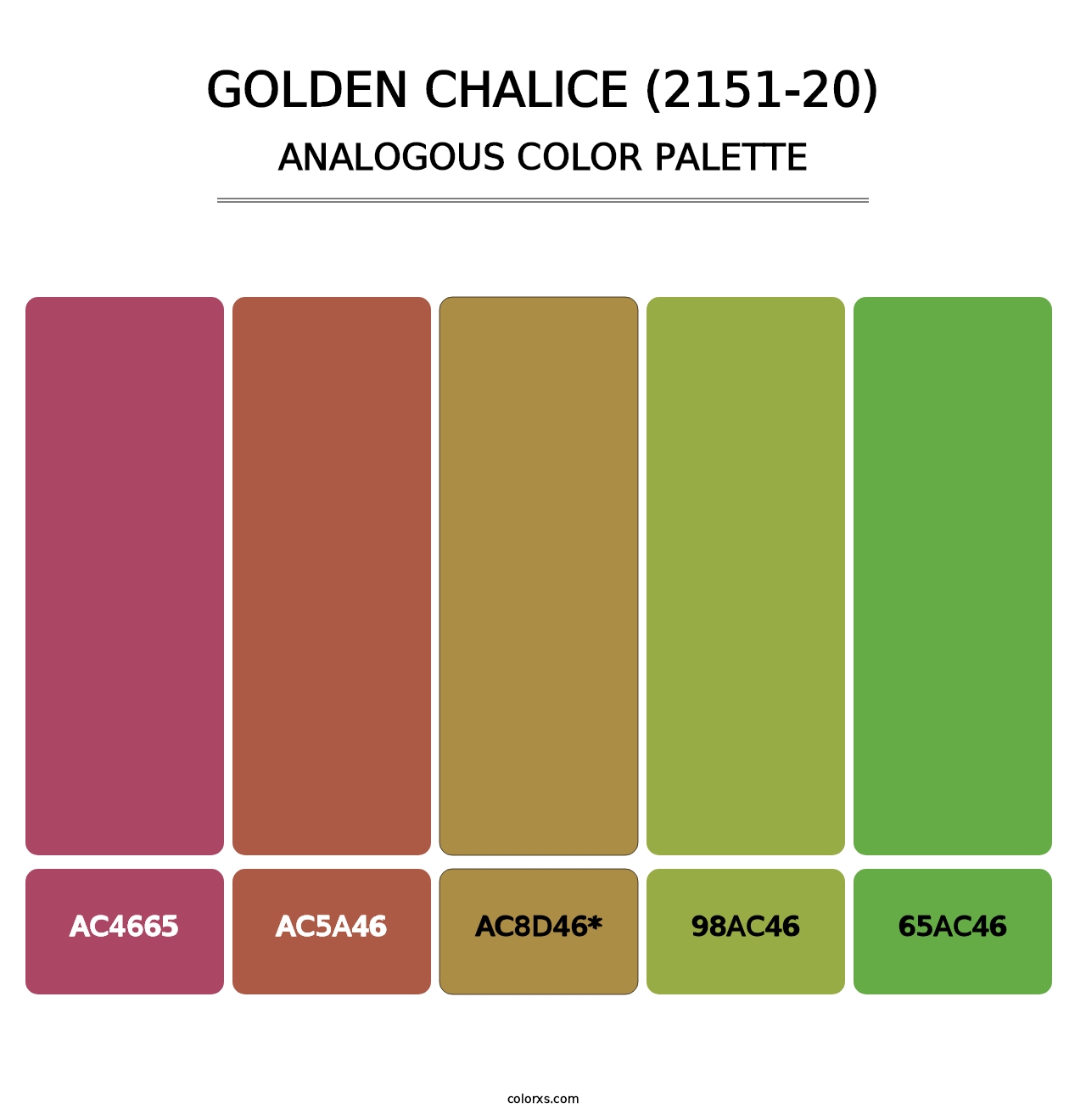 Golden Chalice (2151-20) - Analogous Color Palette