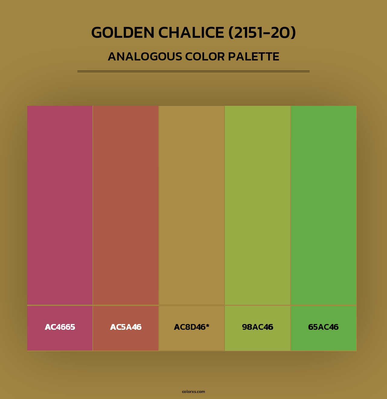 Golden Chalice (2151-20) - Analogous Color Palette