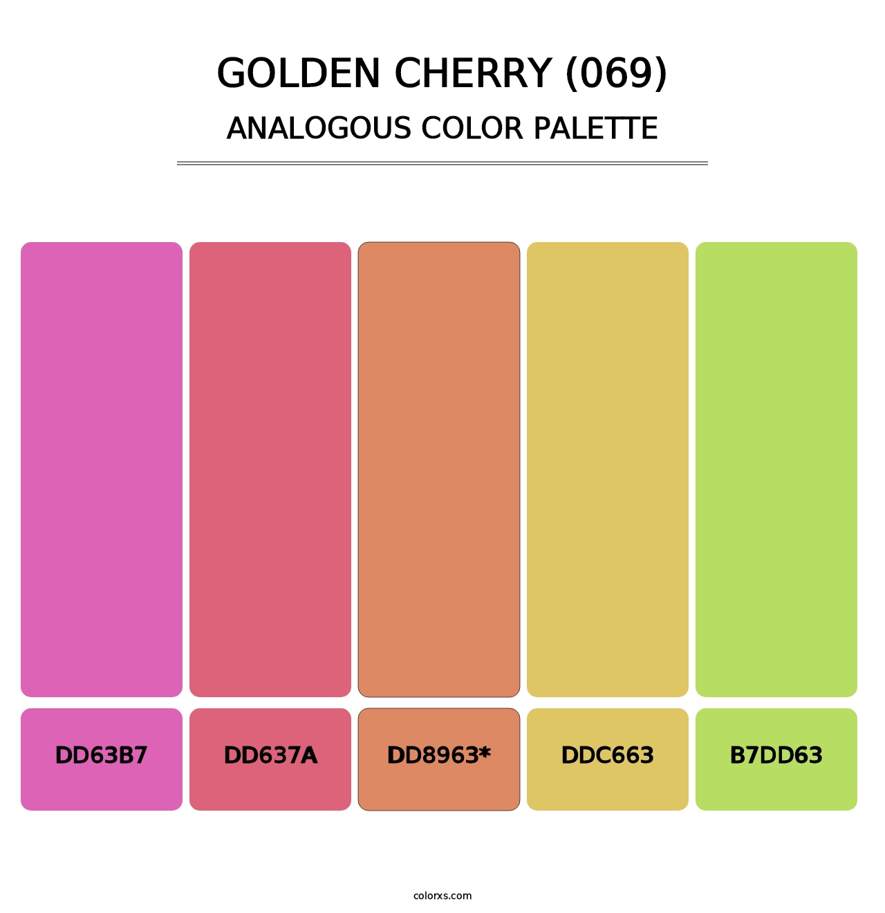 Golden Cherry (069) - Analogous Color Palette