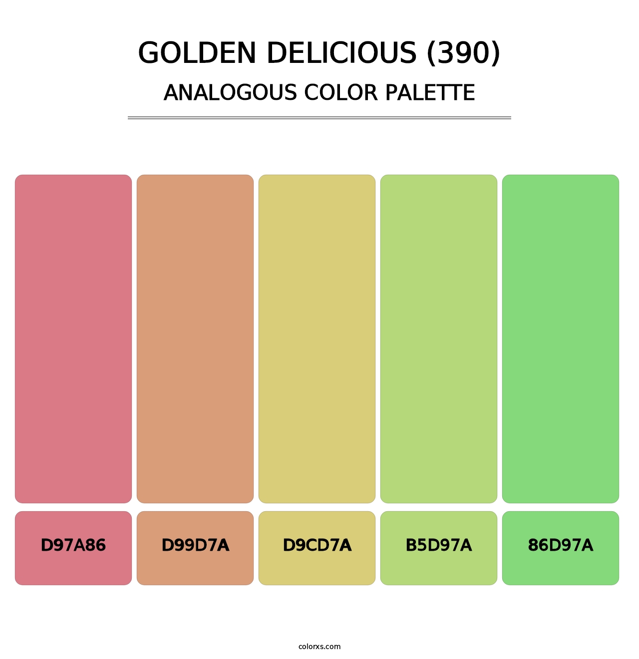 Golden Delicious (390) - Analogous Color Palette