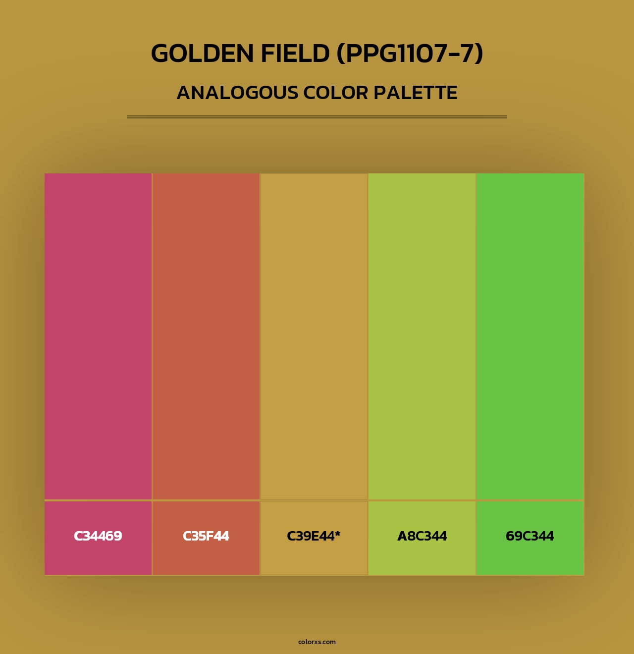 Golden Field (PPG1107-7) - Analogous Color Palette