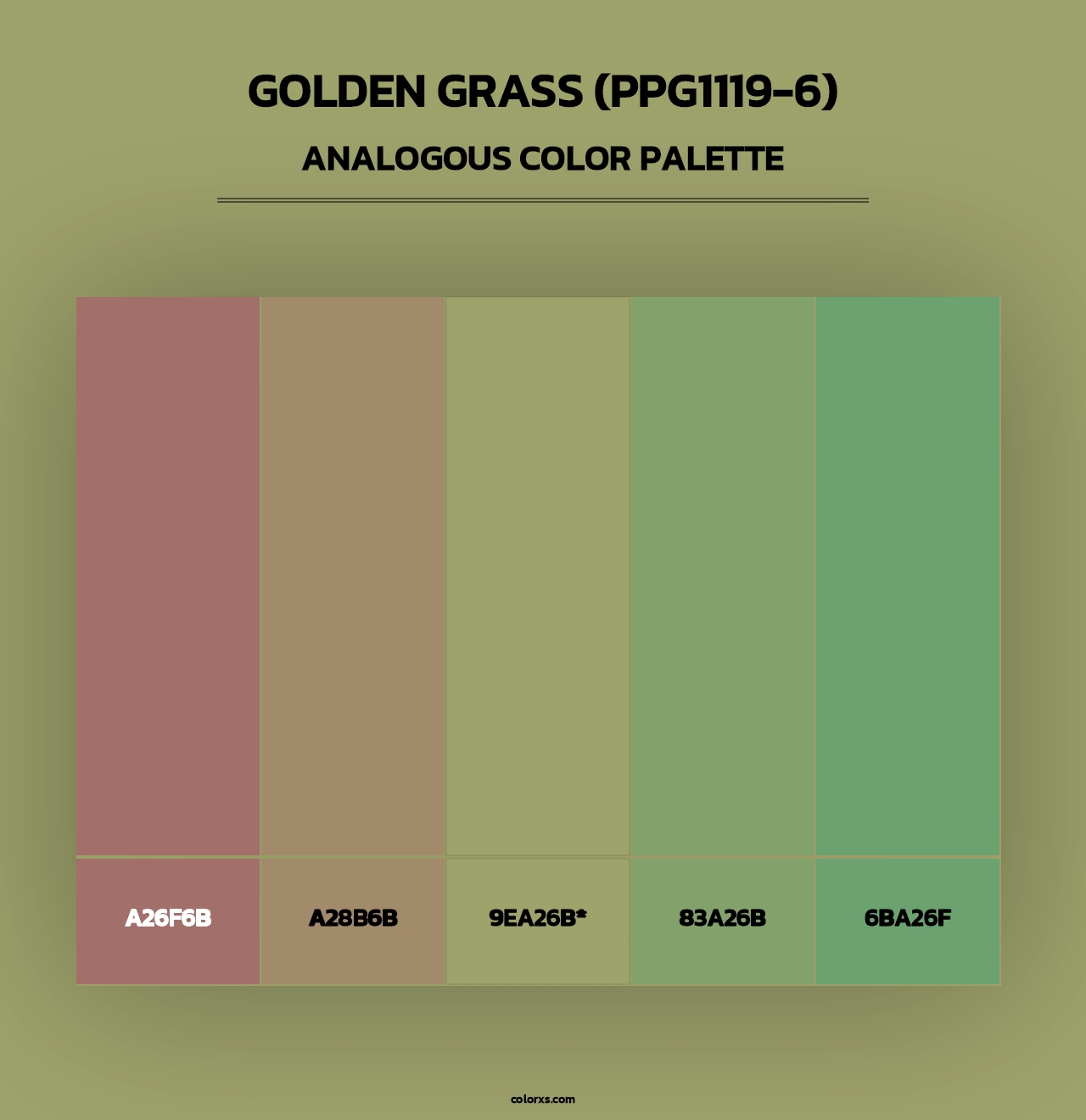 Golden Grass (PPG1119-6) - Analogous Color Palette