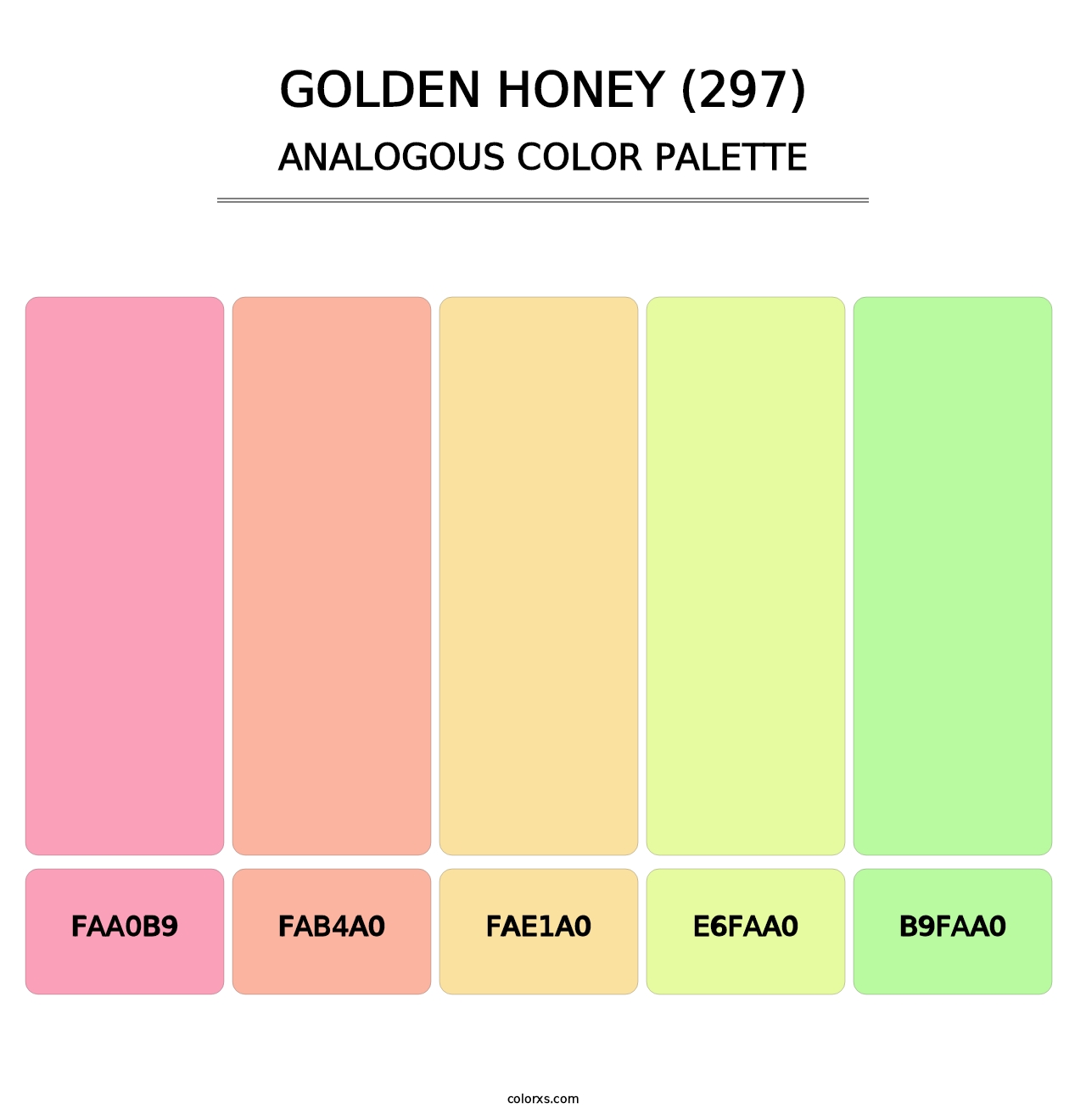 Golden Honey (297) - Analogous Color Palette