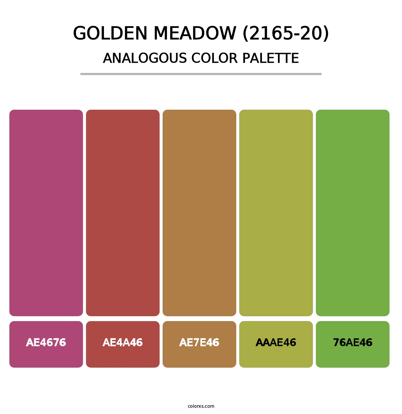 Golden Meadow (2165-20) - Analogous Color Palette