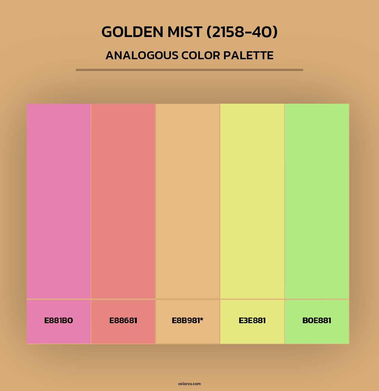 Golden Mist (2158-40) - Analogous Color Palette