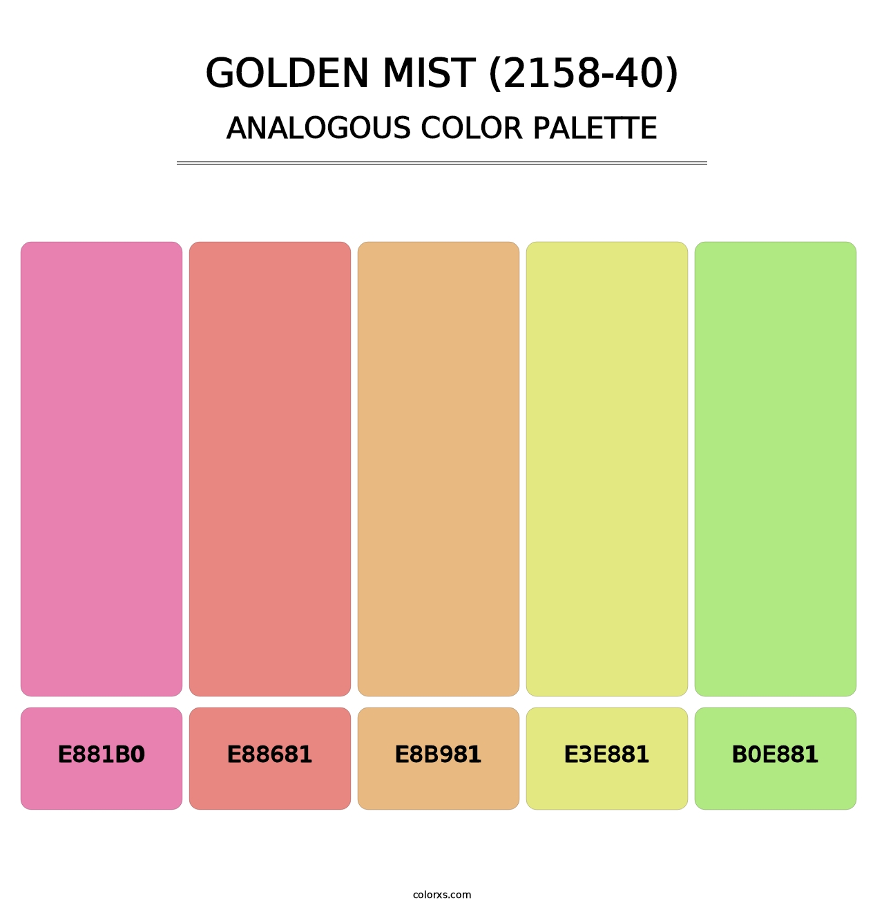 Golden Mist (2158-40) - Analogous Color Palette