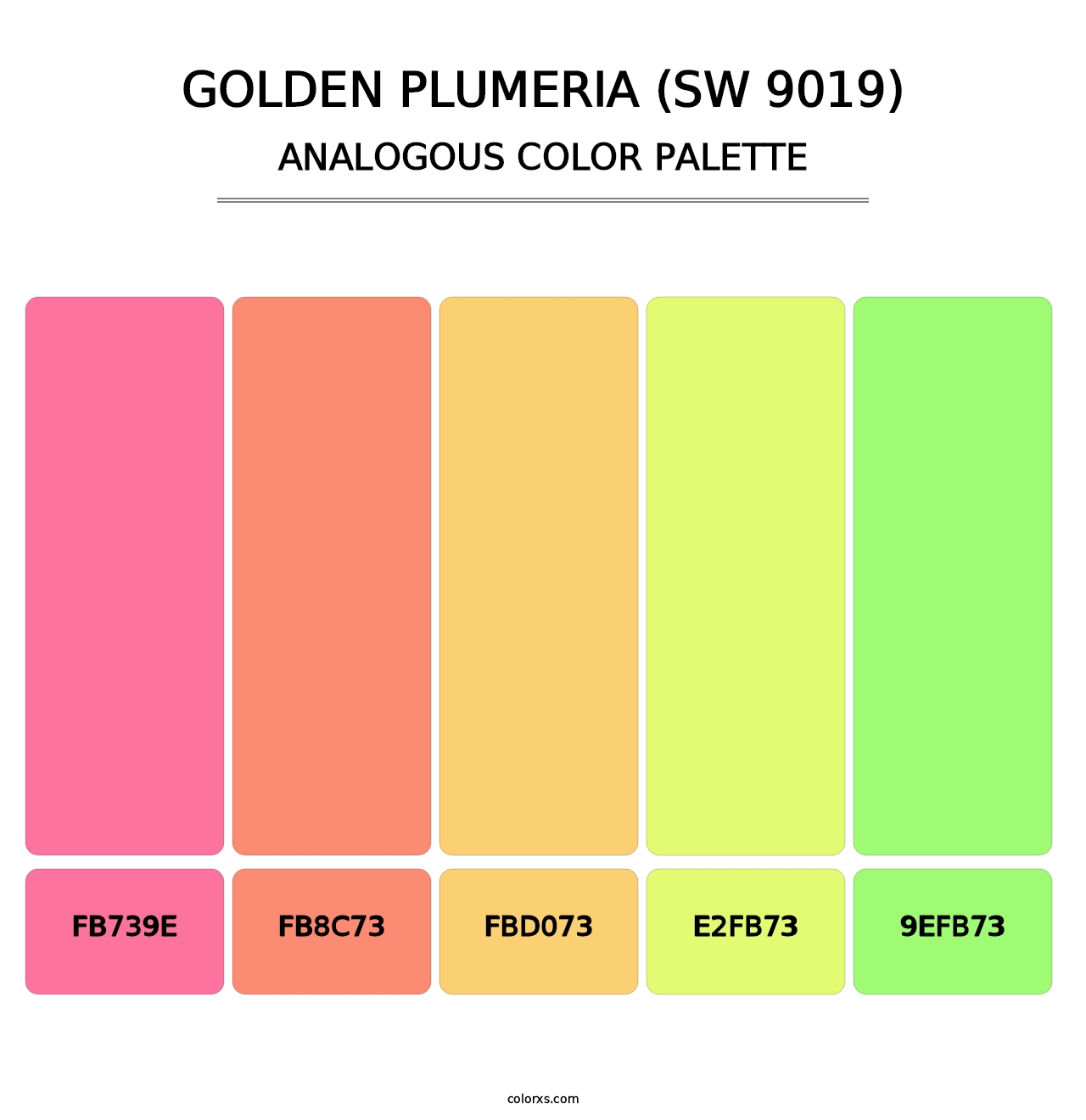 Golden Plumeria (SW 9019) - Analogous Color Palette