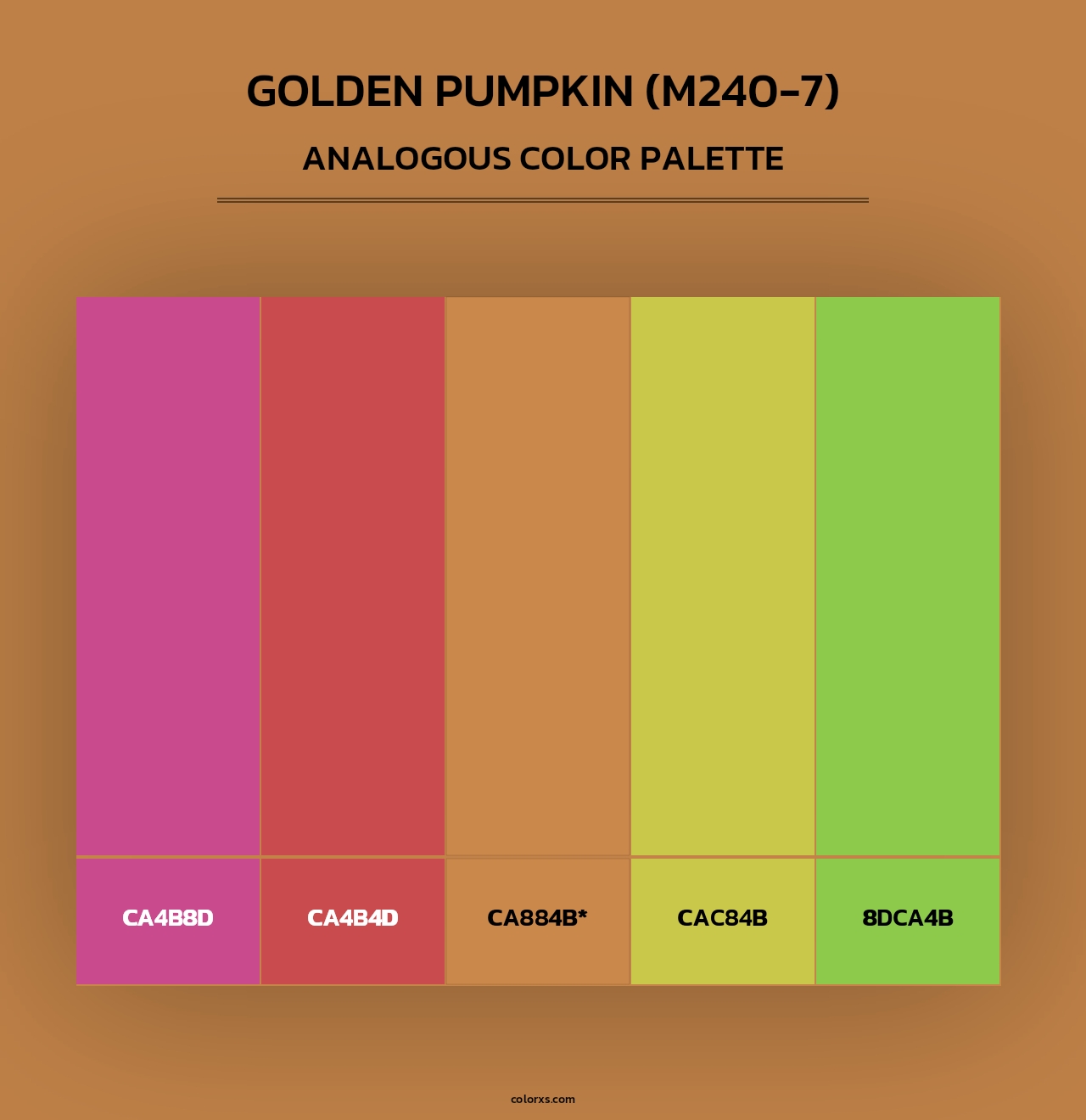 Golden Pumpkin (M240-7) - Analogous Color Palette