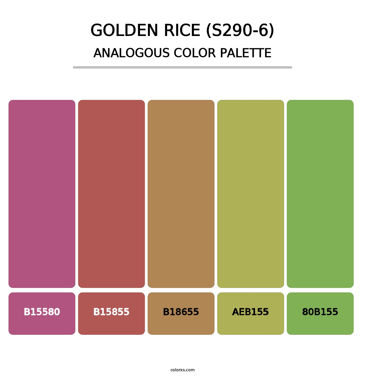 Golden Rice (S290-6) - Analogous Color Palette