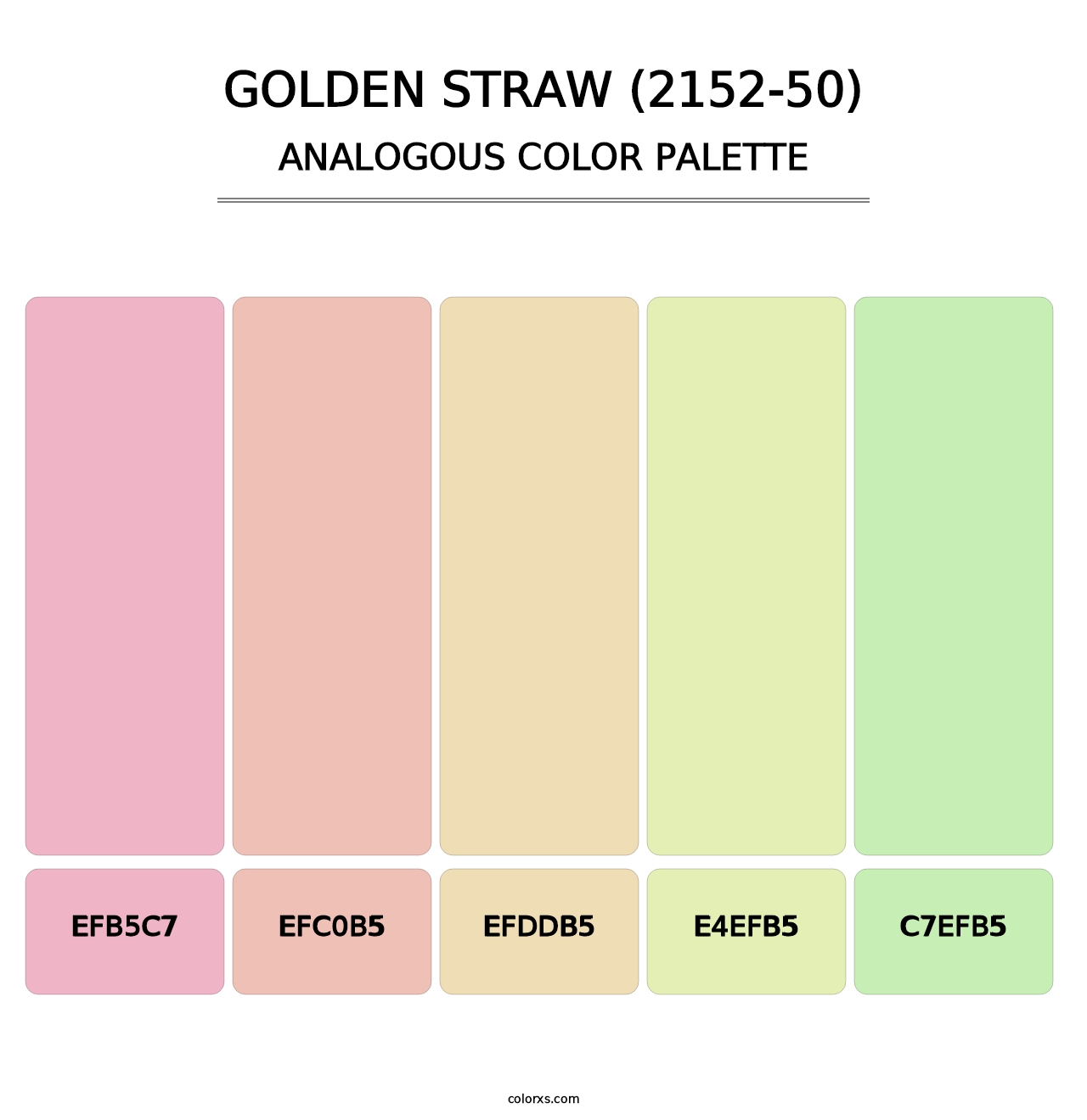 Golden Straw (2152-50) - Analogous Color Palette