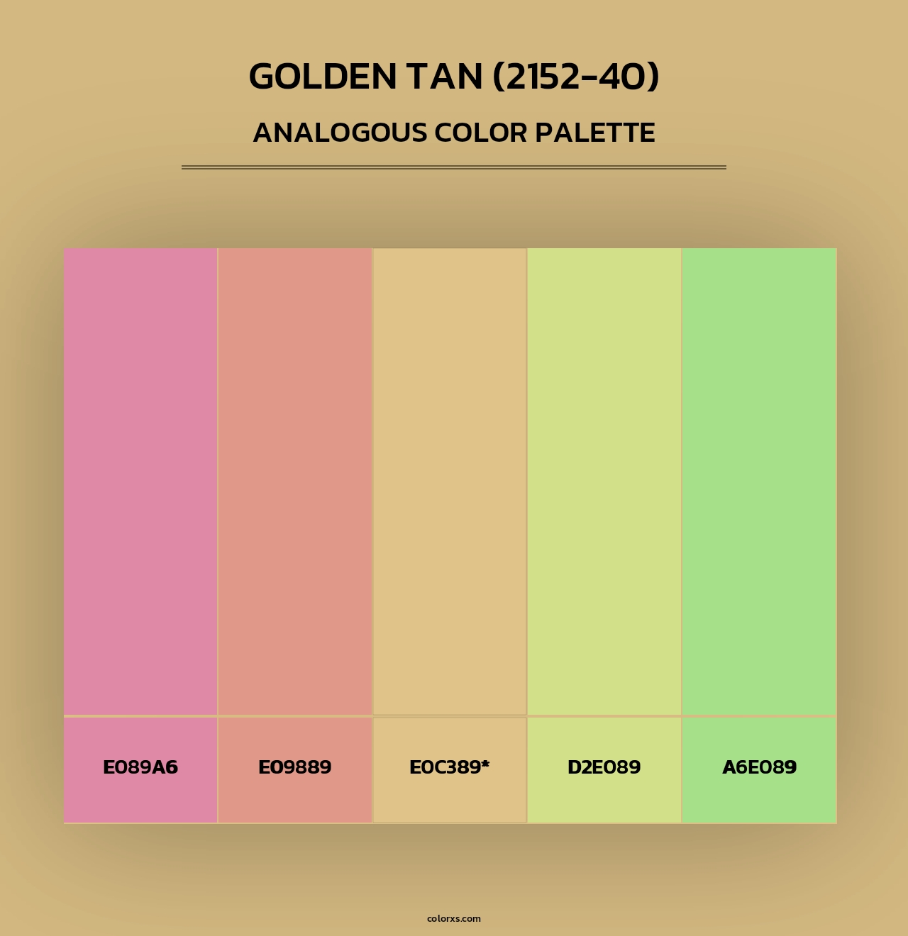 Golden Tan (2152-40) - Analogous Color Palette