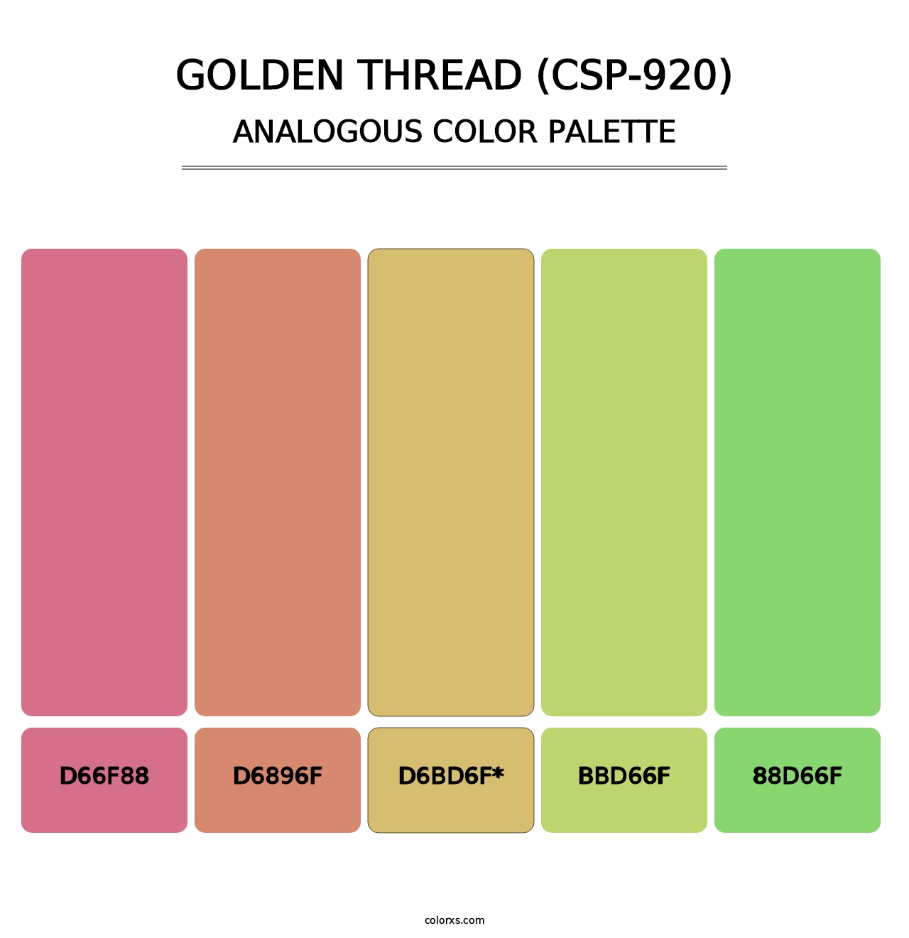Golden Thread (CSP-920) - Analogous Color Palette