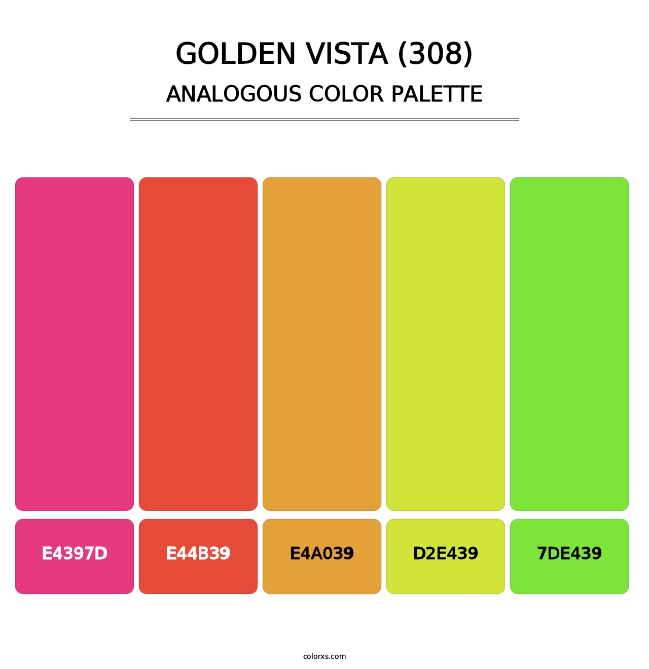Golden Vista (308) - Analogous Color Palette