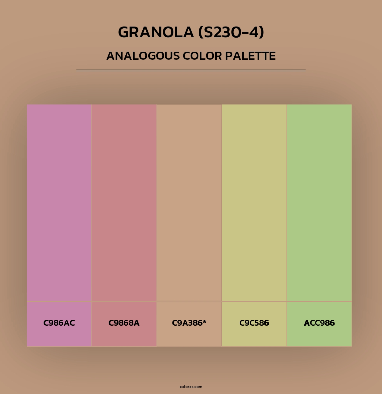 Granola (S230-4) - Analogous Color Palette