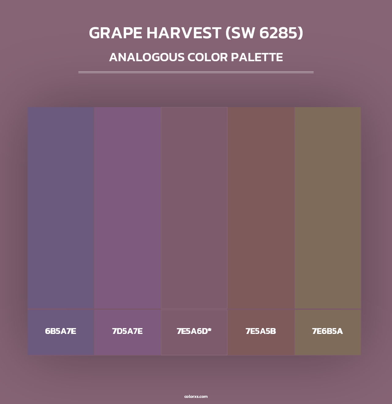 Grape Harvest (SW 6285) - Analogous Color Palette