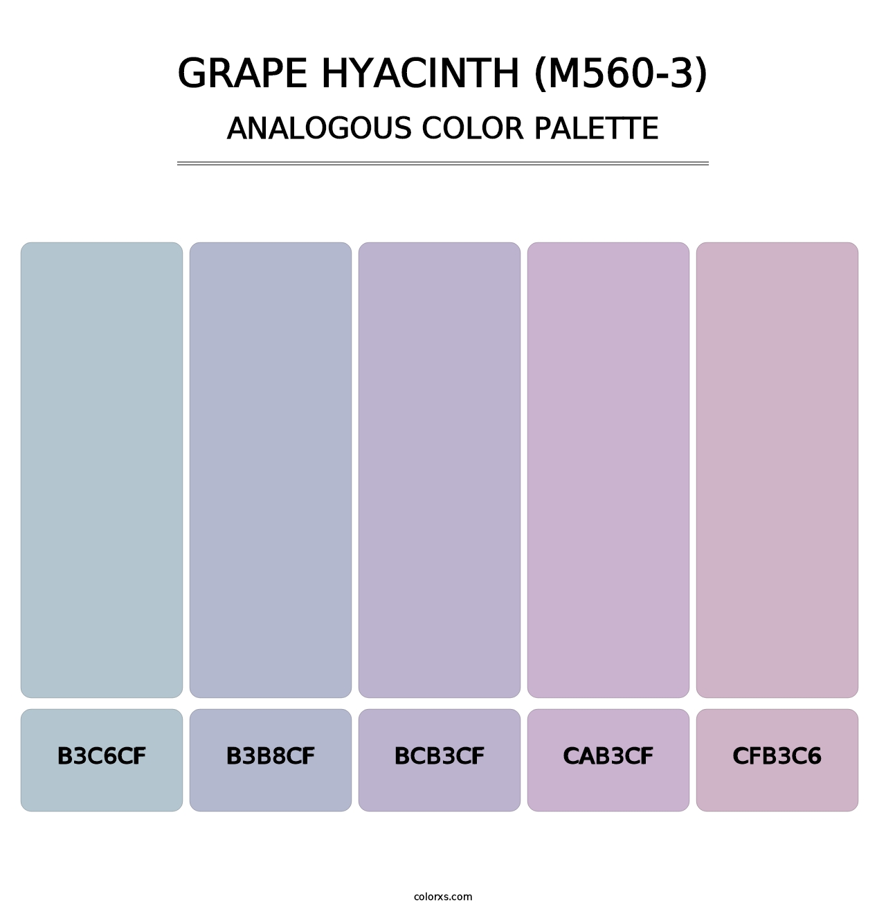 Grape Hyacinth (M560-3) - Analogous Color Palette