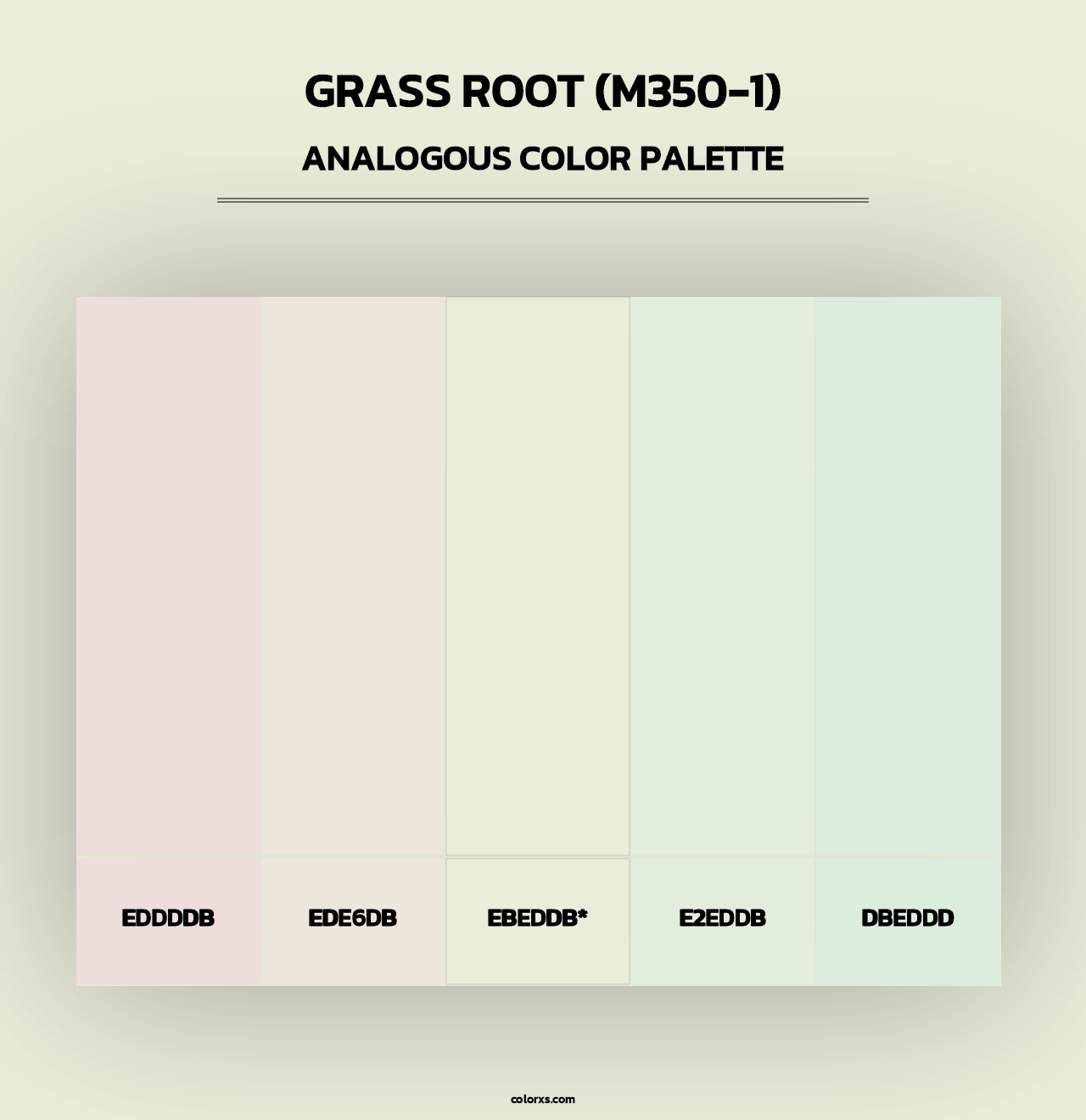 Grass Root (M350-1) - Analogous Color Palette