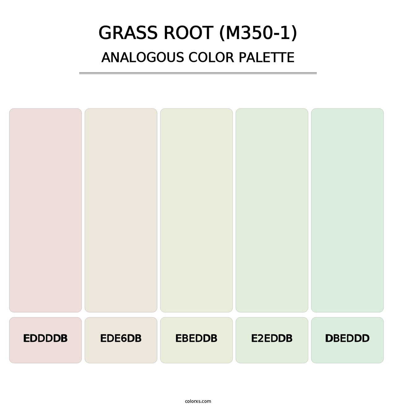 Grass Root (M350-1) - Analogous Color Palette