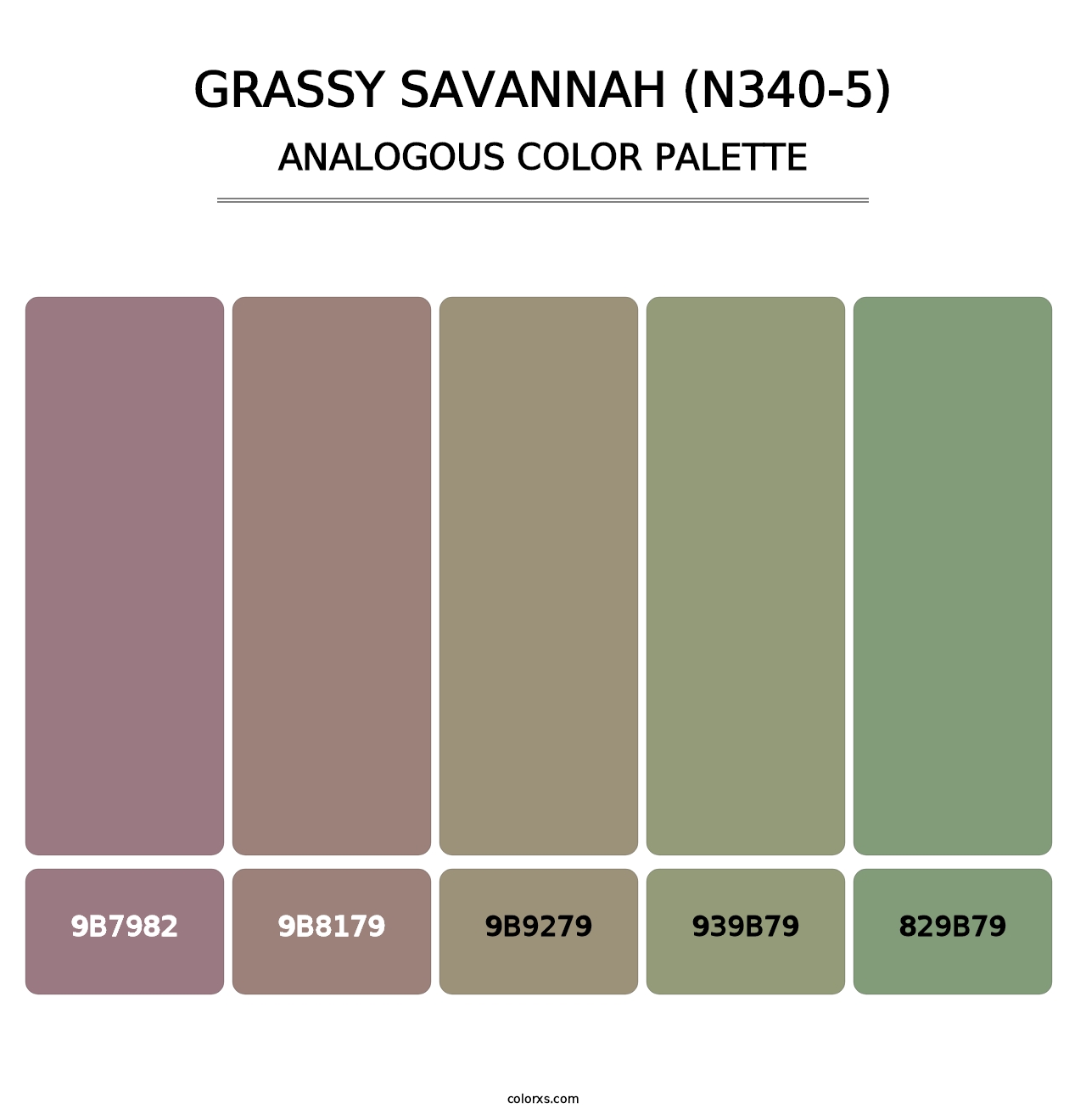 Grassy Savannah (N340-5) - Analogous Color Palette