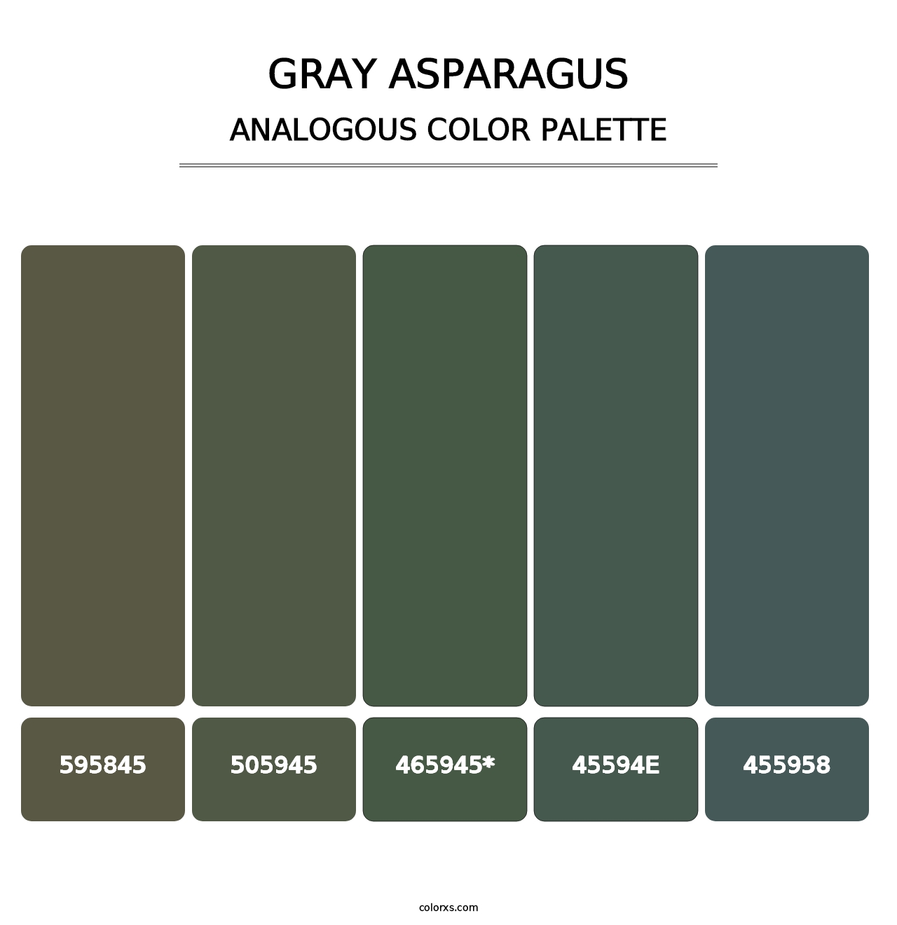 Gray Asparagus - Analogous Color Palette