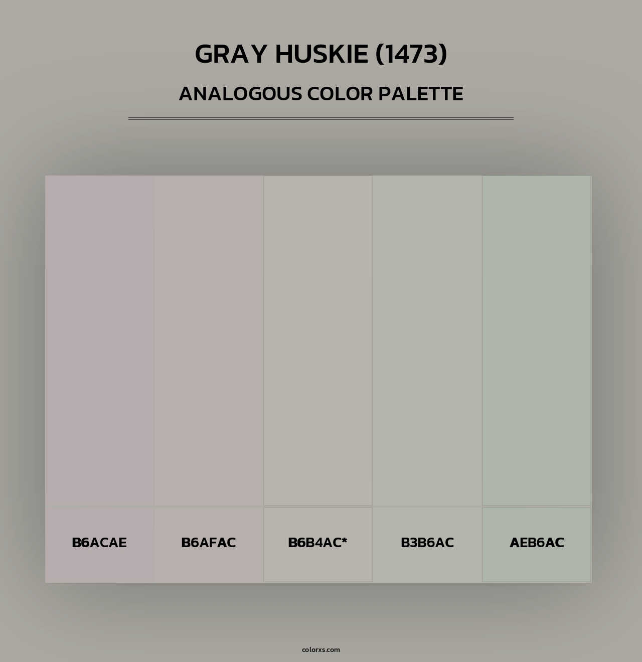 Gray Huskie (1473) - Analogous Color Palette