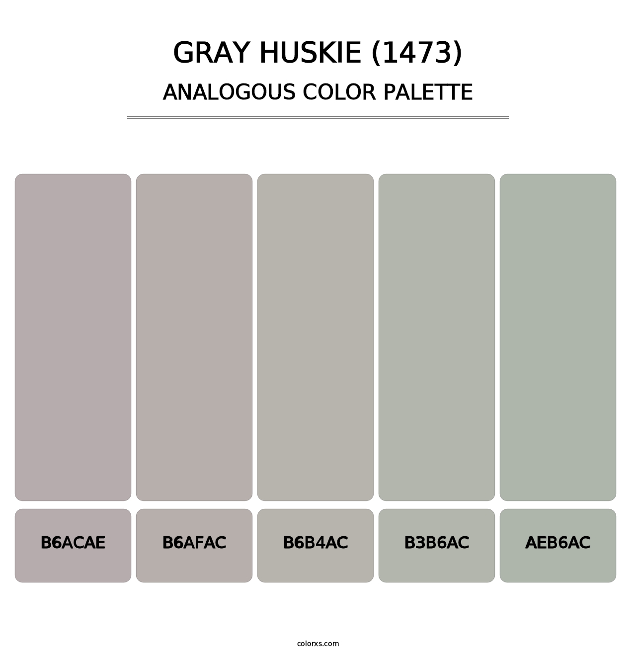 Gray Huskie (1473) - Analogous Color Palette