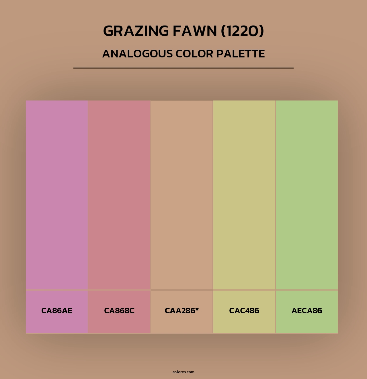 Grazing Fawn (1220) - Analogous Color Palette