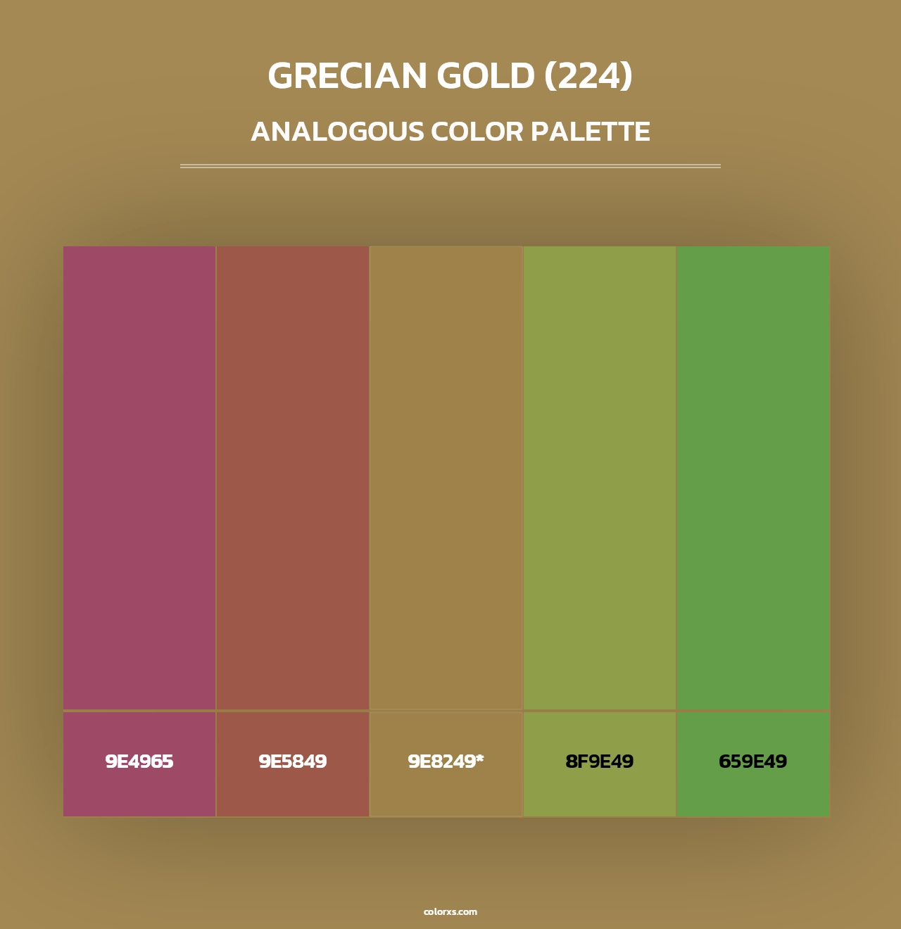 Grecian Gold (224) - Analogous Color Palette