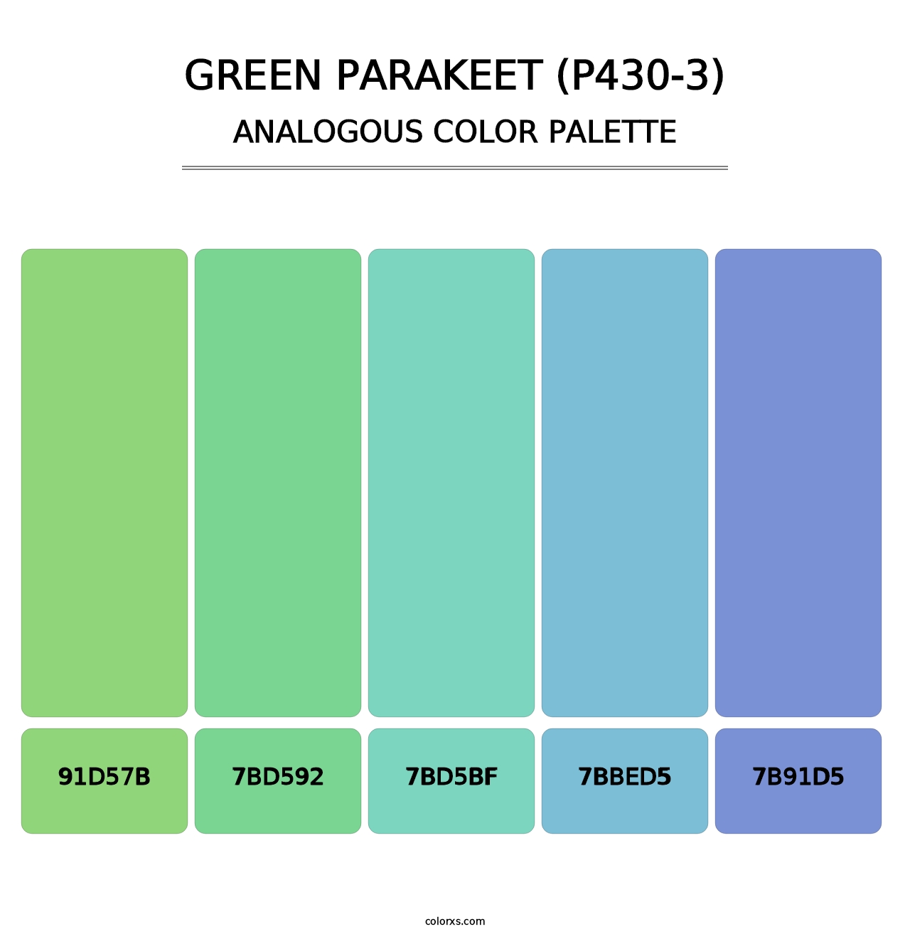 Green Parakeet (P430-3) - Analogous Color Palette