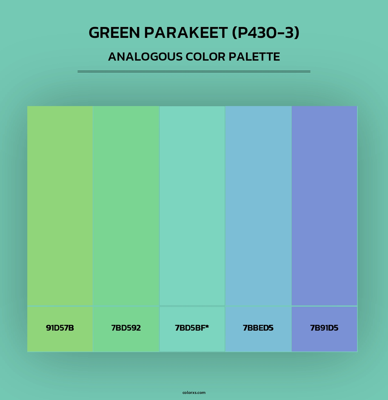 Green Parakeet (P430-3) - Analogous Color Palette