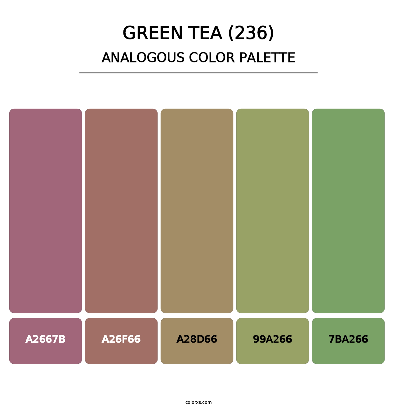 Green Tea (236) - Analogous Color Palette