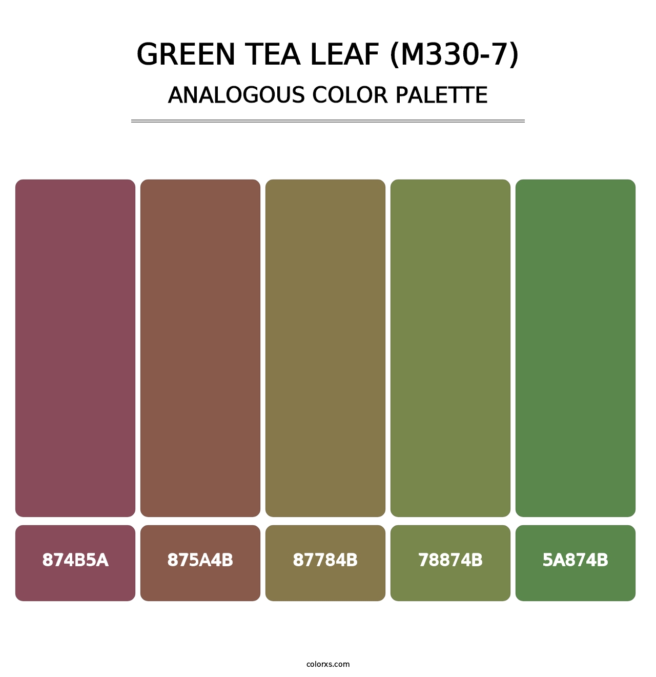 Green Tea Leaf (M330-7) - Analogous Color Palette