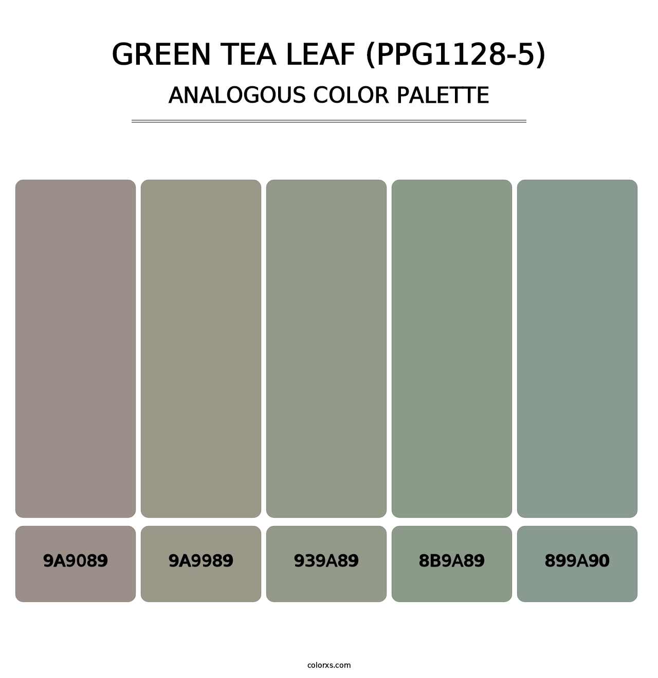 Green Tea Leaf (PPG1128-5) - Analogous Color Palette