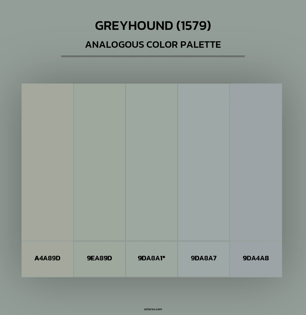 Greyhound (1579) - Analogous Color Palette