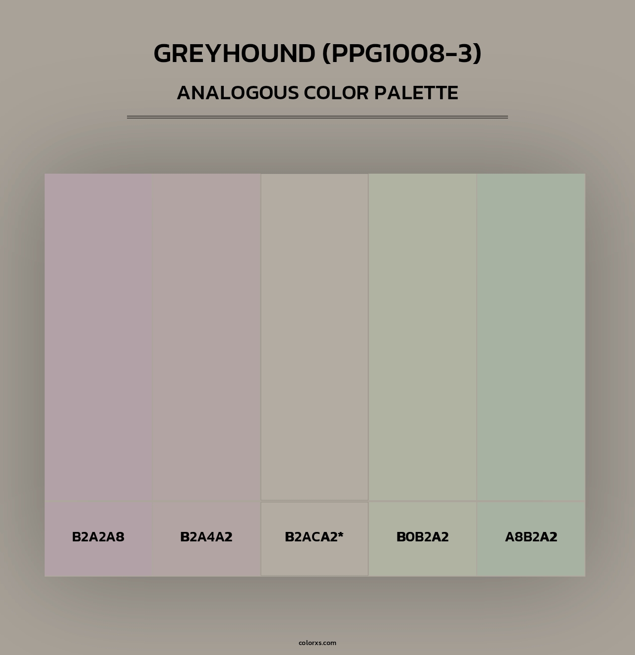 Greyhound (PPG1008-3) - Analogous Color Palette