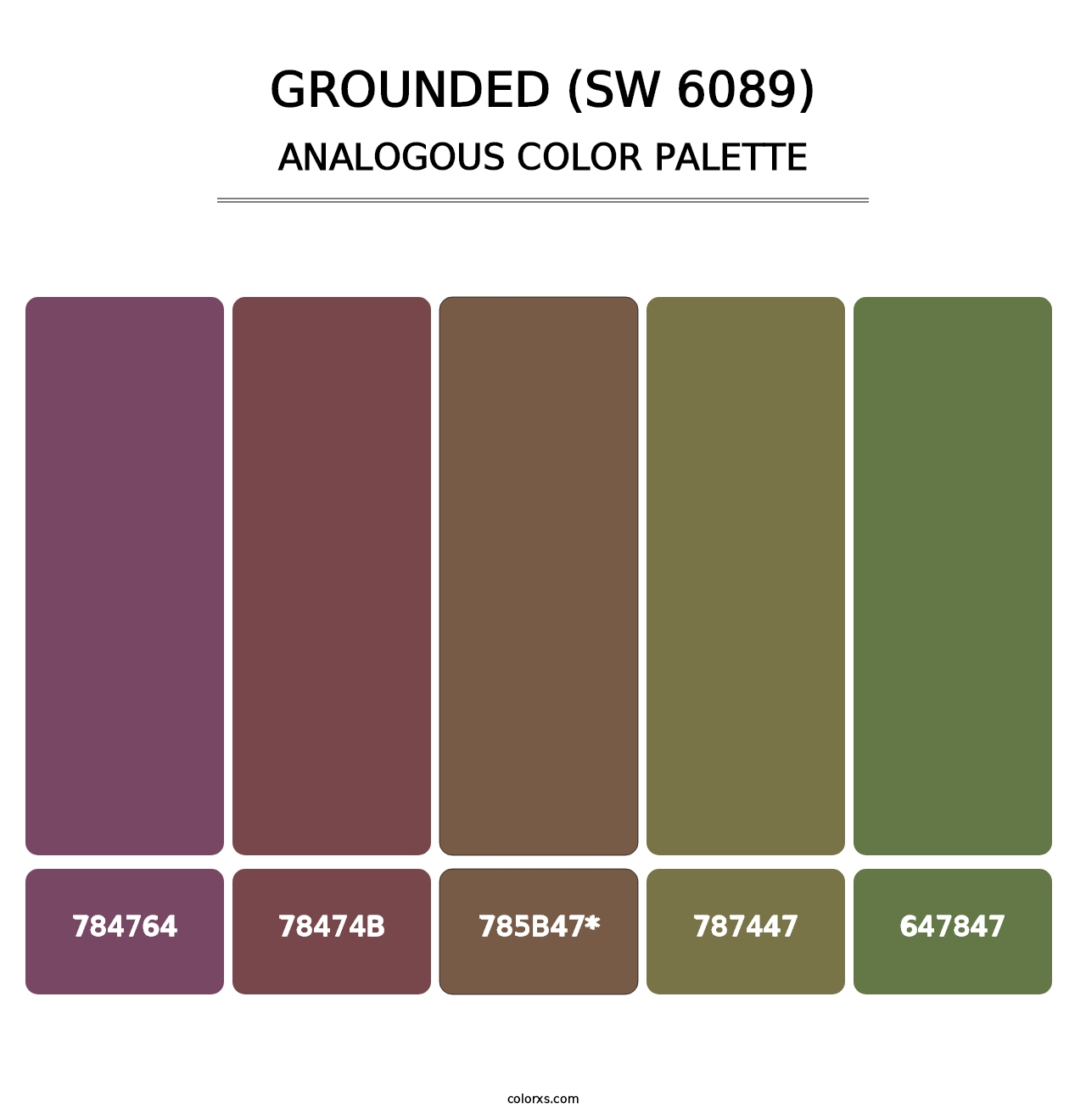 Grounded (SW 6089) - Analogous Color Palette