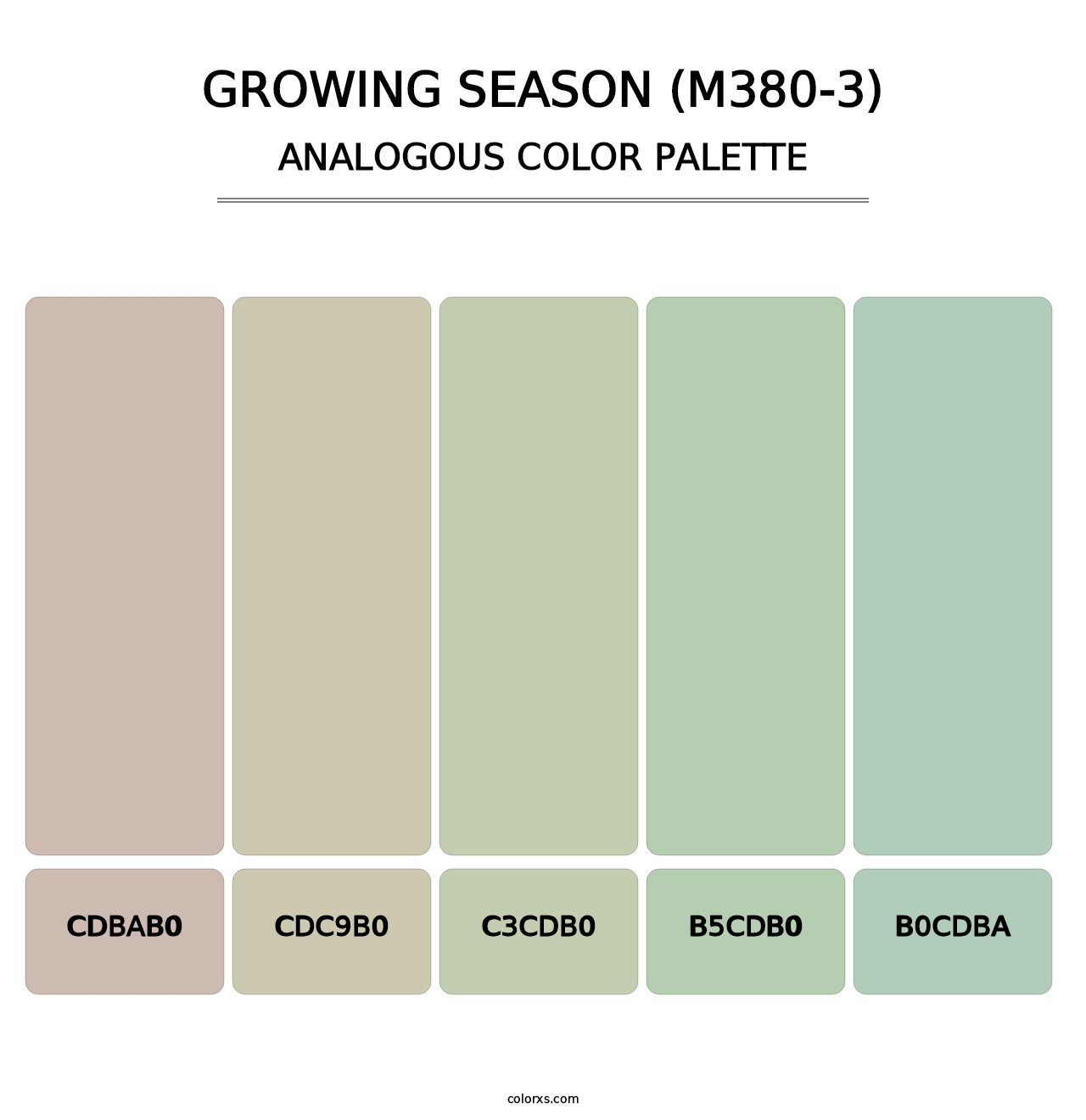 Growing Season (M380-3) - Analogous Color Palette