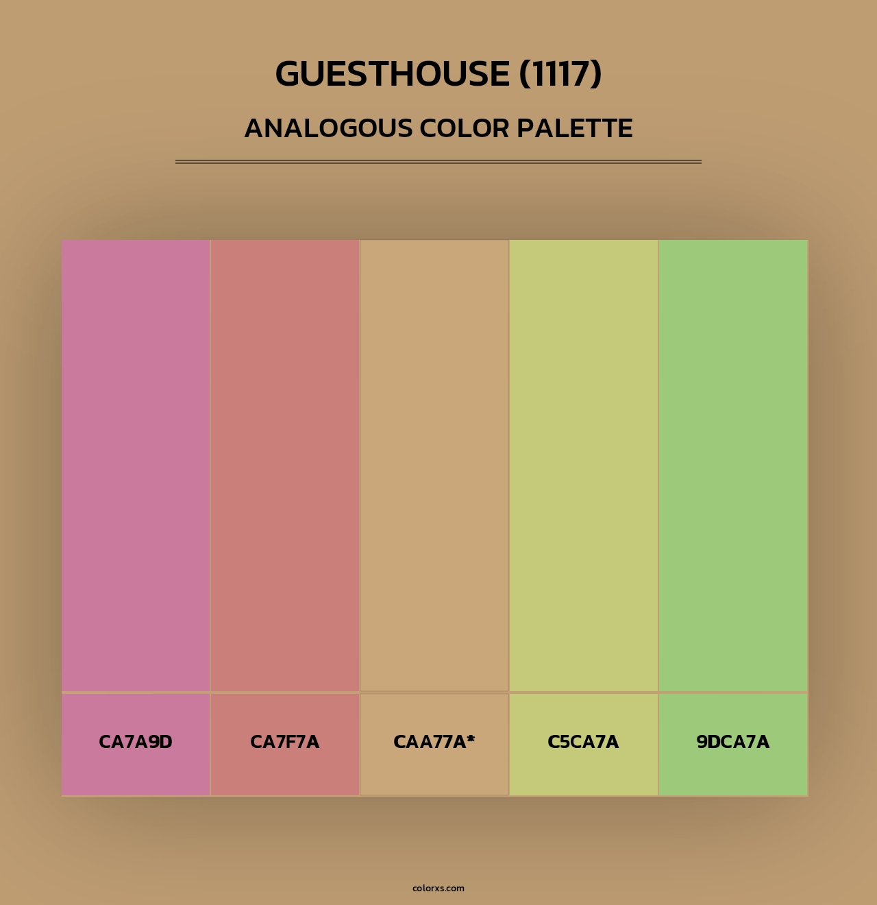 Guesthouse (1117) - Analogous Color Palette