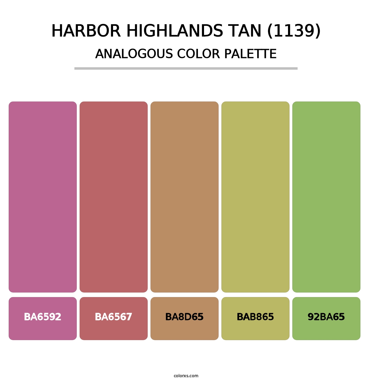 Harbor Highlands Tan (1139) - Analogous Color Palette