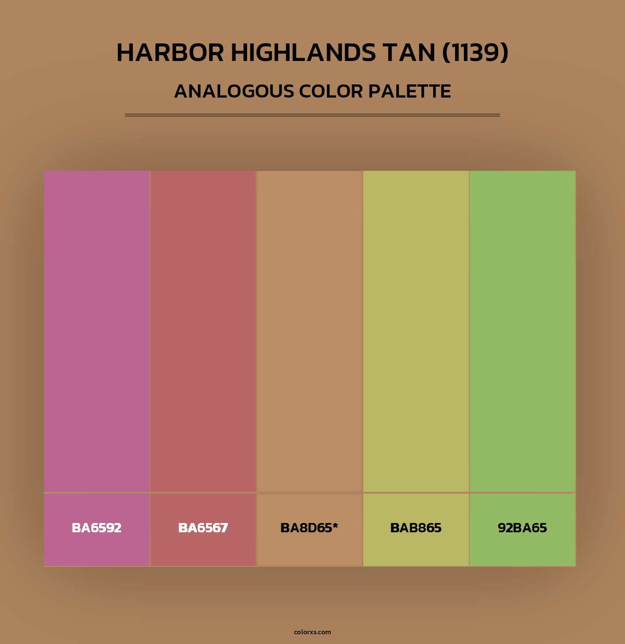 Harbor Highlands Tan (1139) - Analogous Color Palette