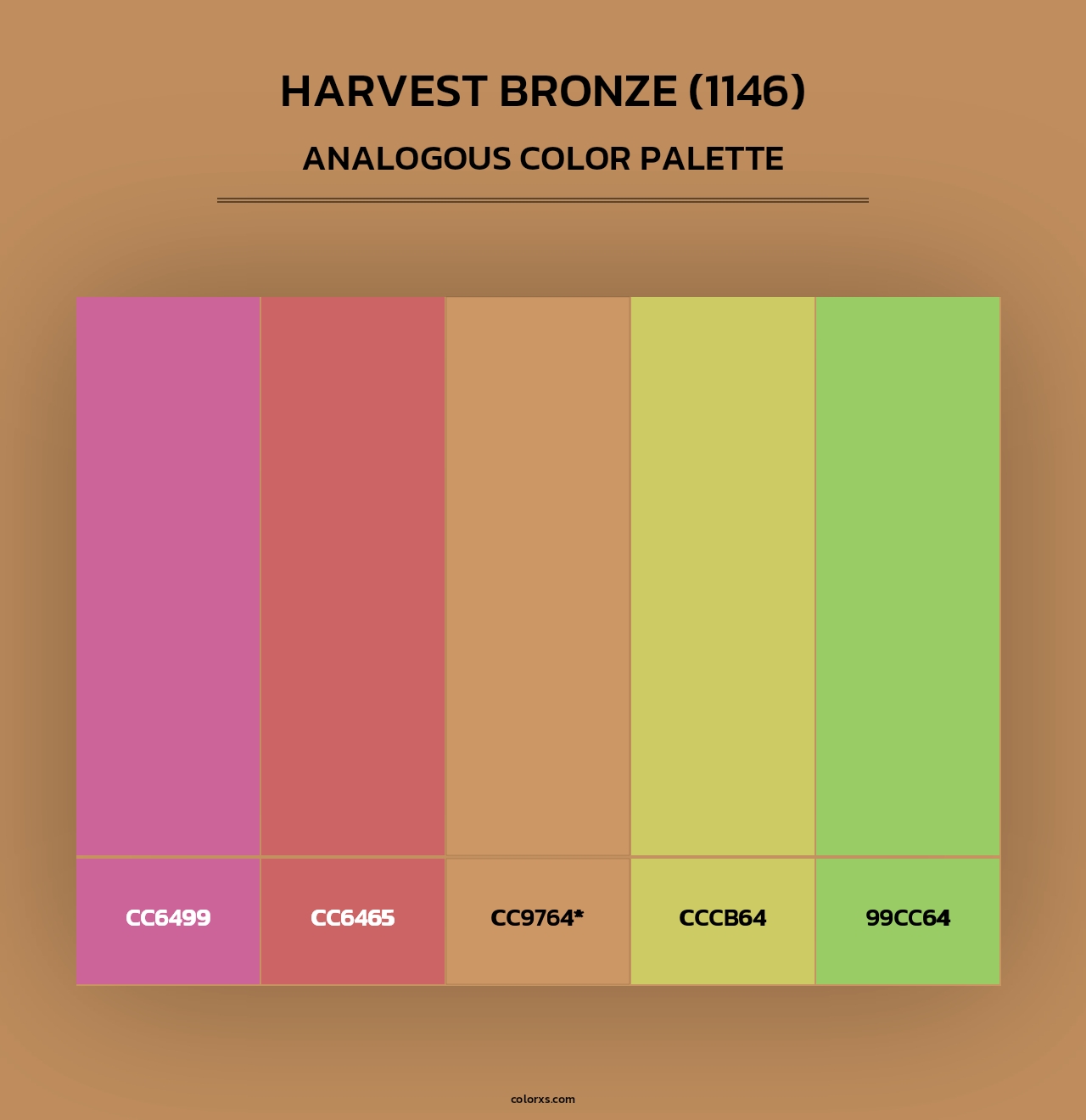 Harvest Bronze (1146) - Analogous Color Palette