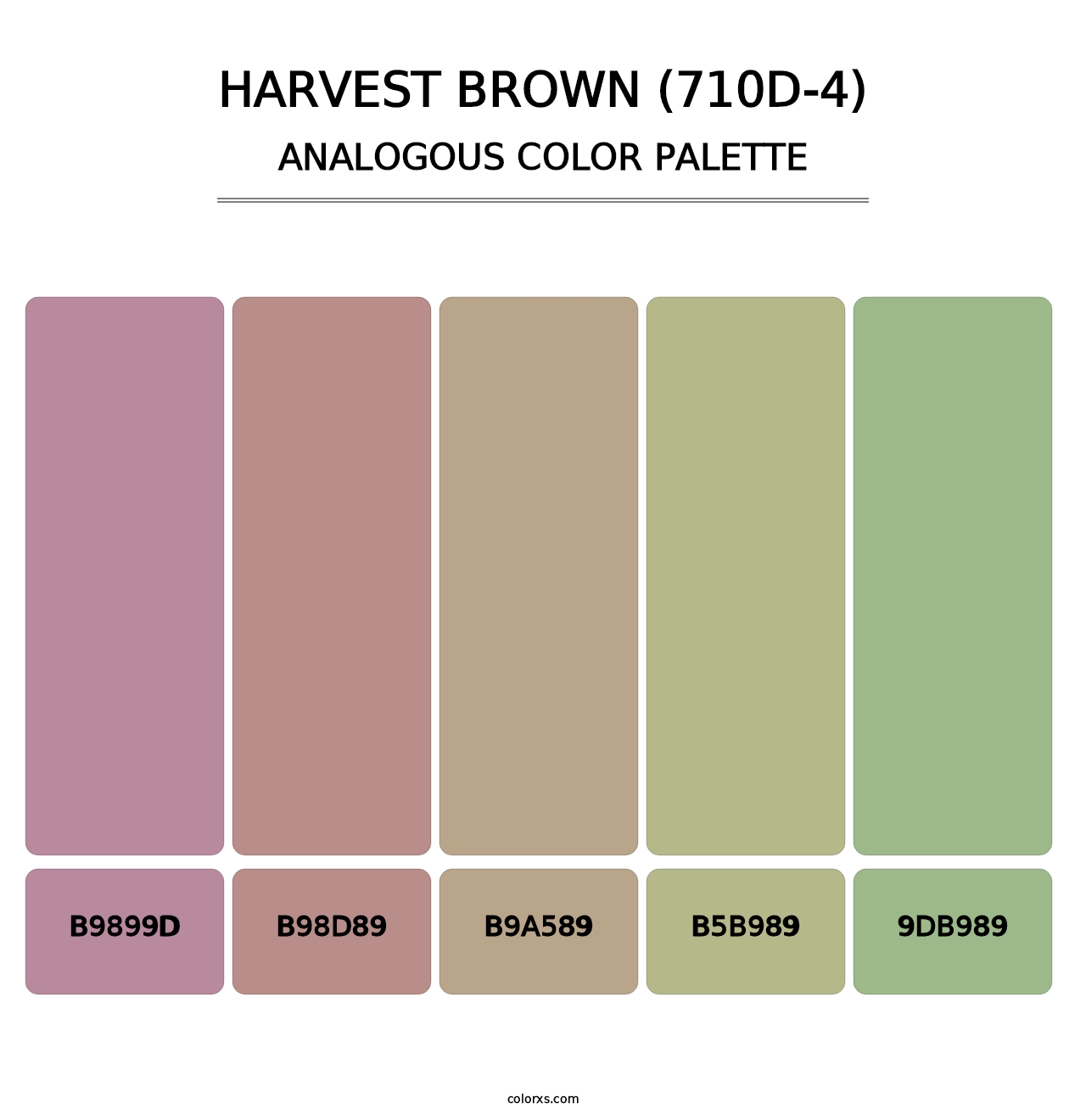 Harvest Brown (710D-4) - Analogous Color Palette