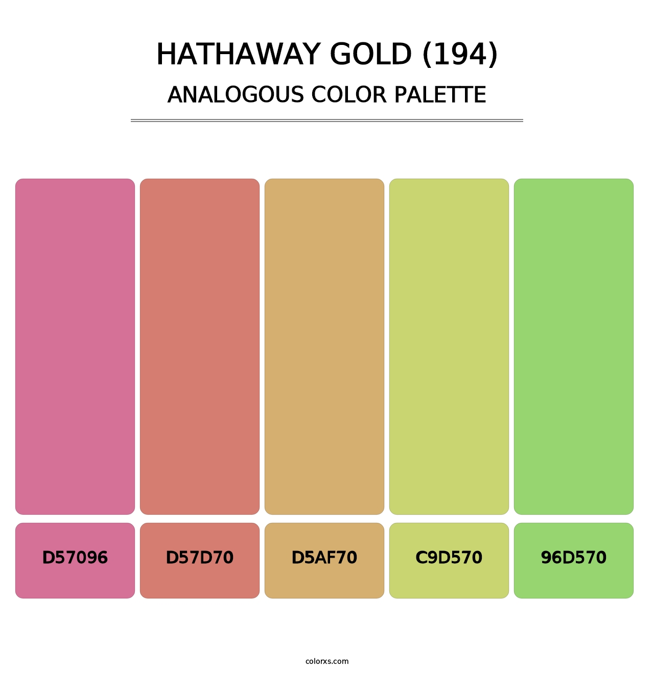 Hathaway Gold (194) - Analogous Color Palette
