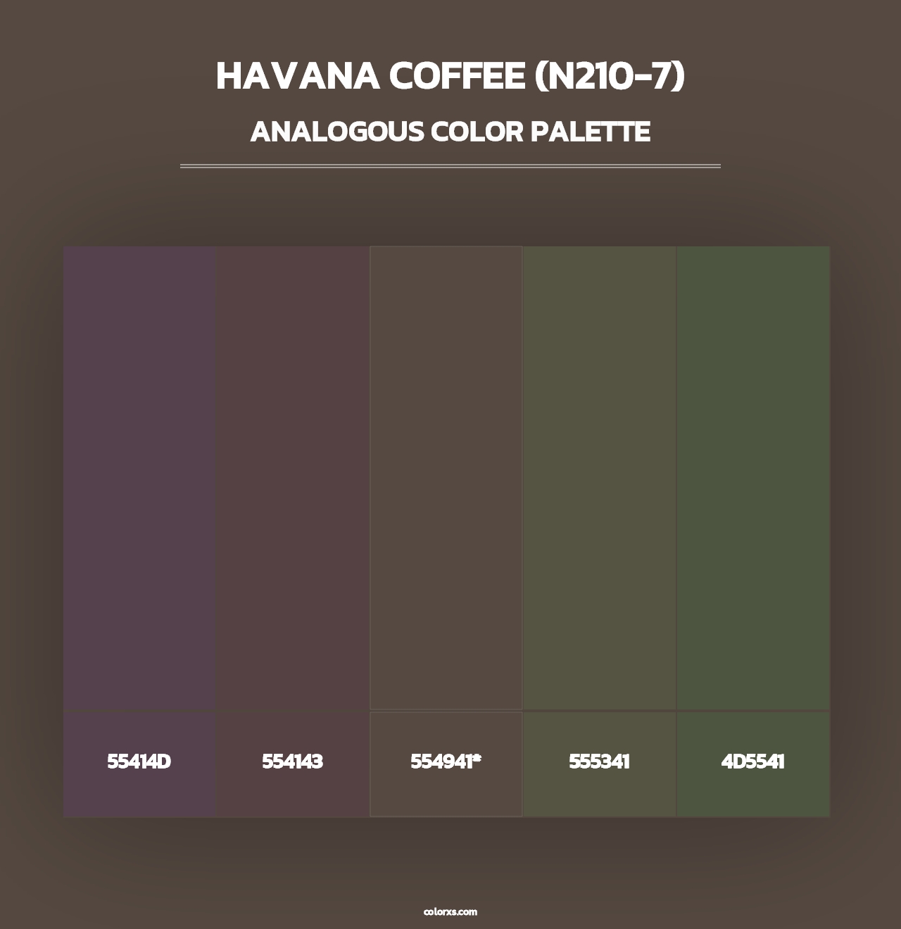Havana Coffee (N210-7) - Analogous Color Palette