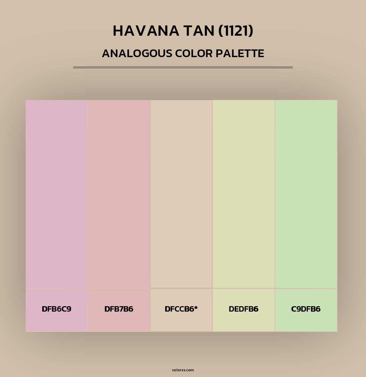 Havana Tan (1121) - Analogous Color Palette