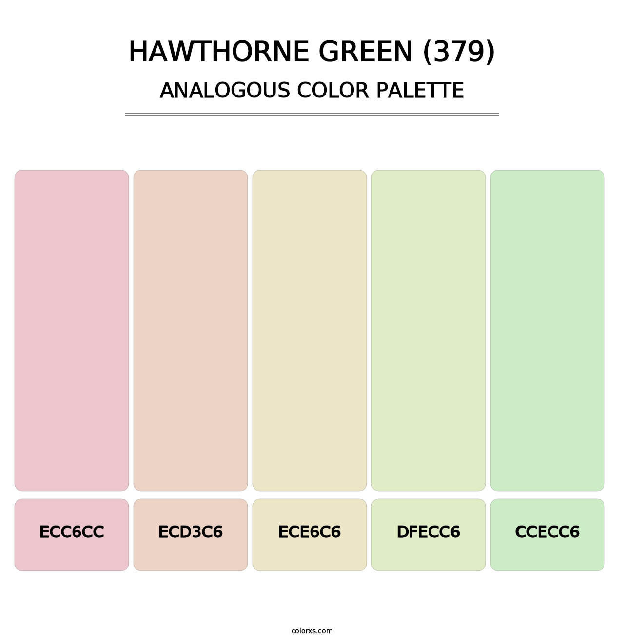 Hawthorne Green (379) - Analogous Color Palette