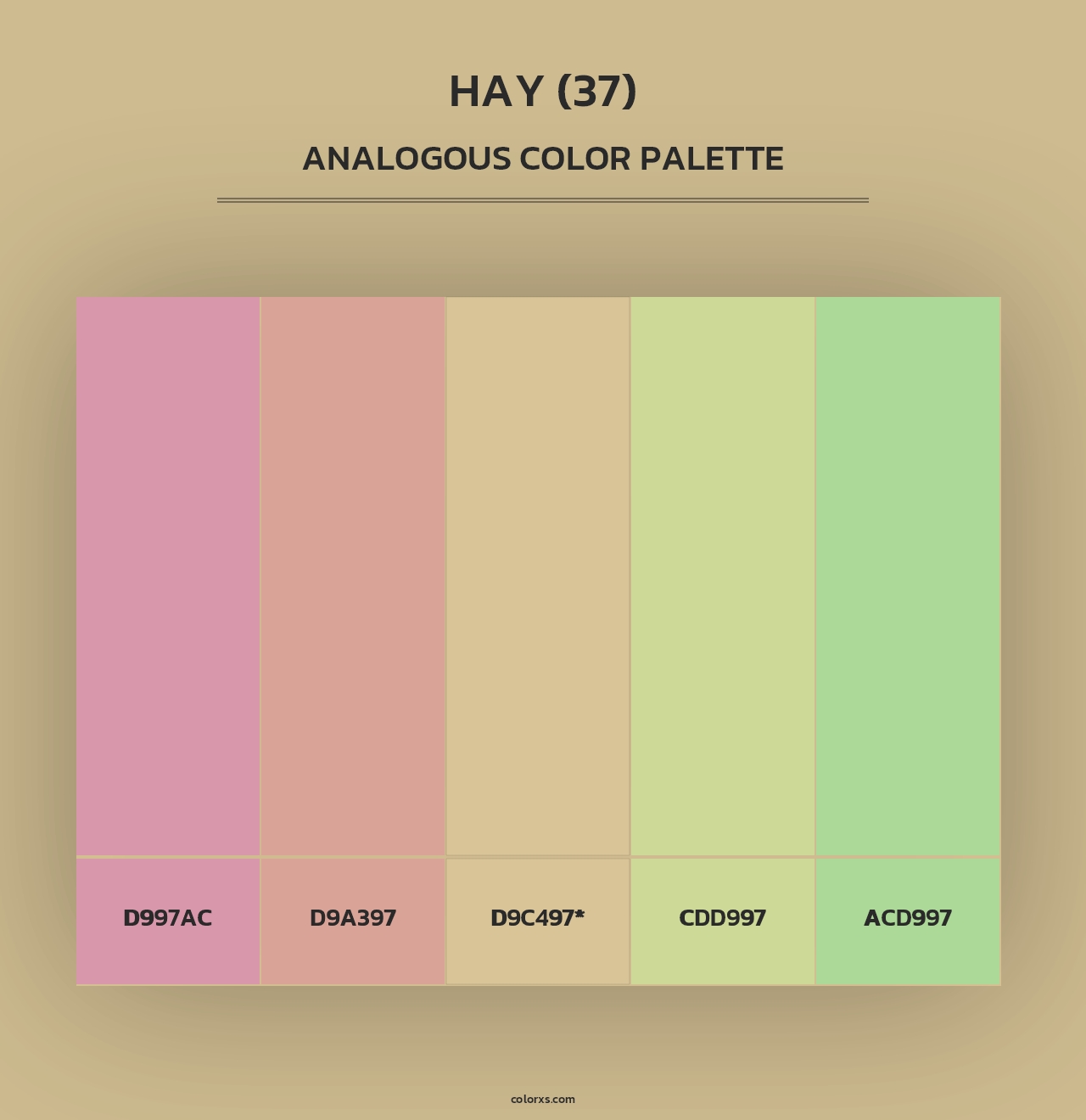Hay (37) - Analogous Color Palette