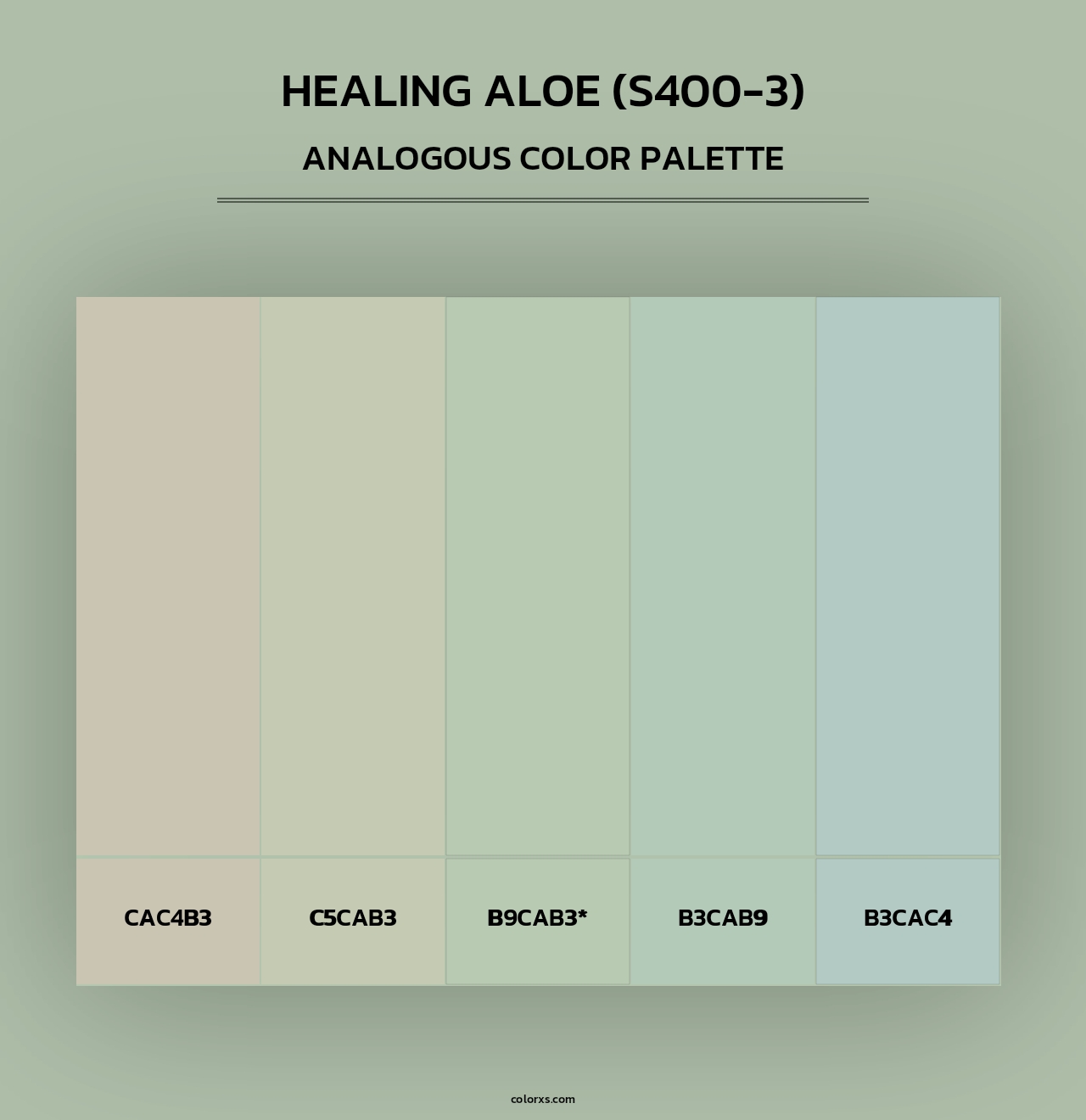 Healing Aloe (S400-3) - Analogous Color Palette
